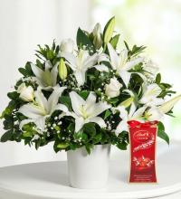 Flora Melody