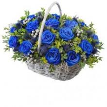 Genus Rose